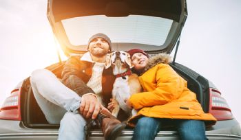  Traveling with Pets: Tips for a Smooth and Enjoyable Journey